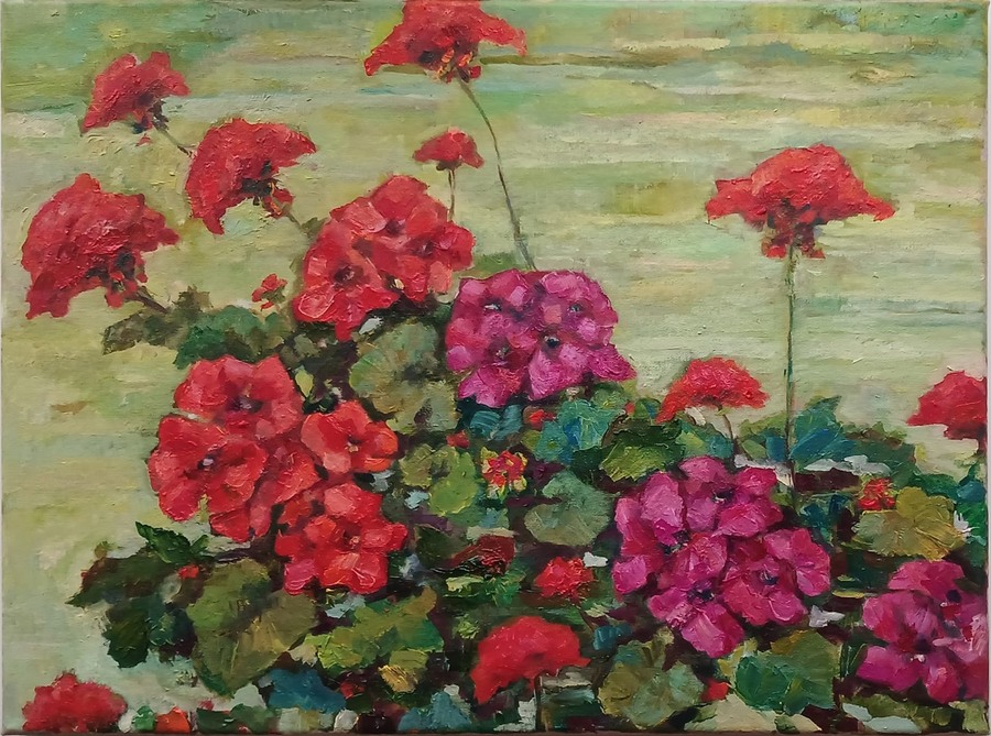 Geraniums
